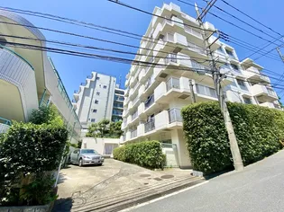 藤が丘ハイツの画像
