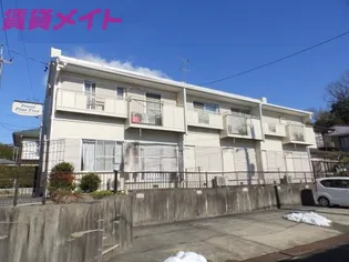 タウニーパインツリーの画像