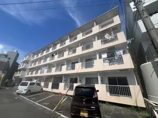 ブラッサムの画像