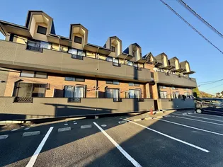 ルピシアSの画像