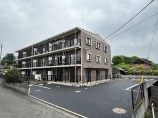 フェストーソカーネの画像