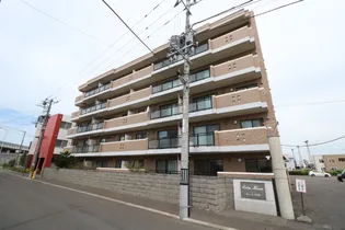 カーム平和の画像