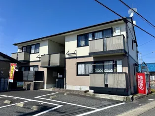 サウスロックトチマツの画像