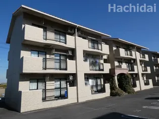 ボン ヴィヴァンの画像
