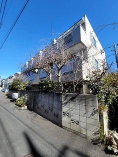 ハイム サンユーの画像