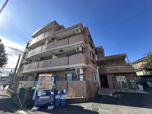 サンフィールVIIの画像