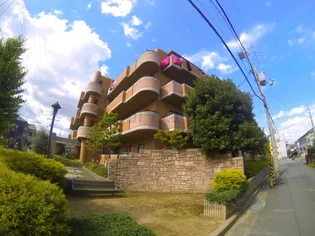 エスパシオカメリア2の画像
