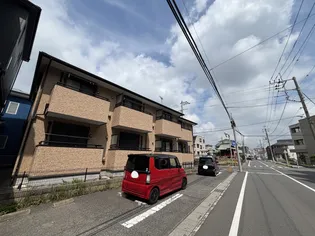 ガーベラの画像