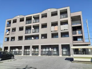 スプランドールSマンションの画像