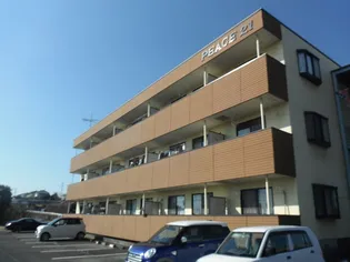 PEACE21の画像