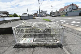 みどり山ハイツ野元【2階】のその他画像
