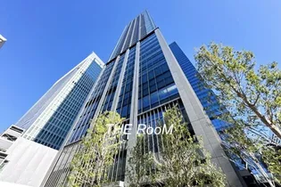 WORLD TOWER RESIDENCE【16階】の外観