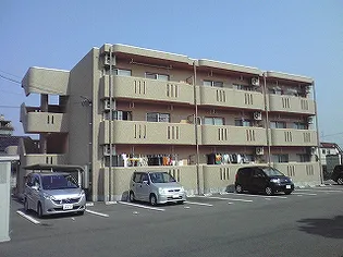 ペーシュメイの画像