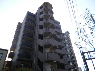 アスコットの画像