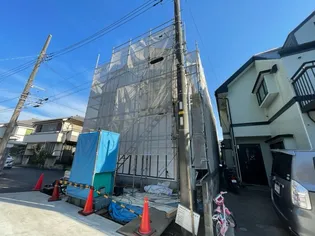 オレンジポピーの画像