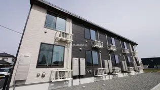 プラシードの画像