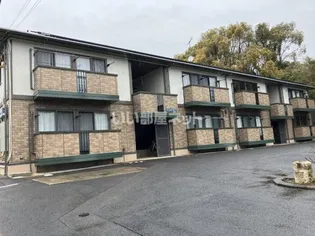 ウィルモアK Tの画像