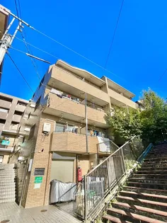 グレース永山の画像