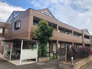 WINDYHILLS Yの画像