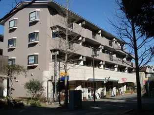 ロイヤルパレス中川の画像