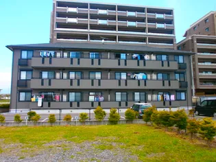 シャルマンBの画像