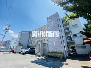 岡田ハイムの画像