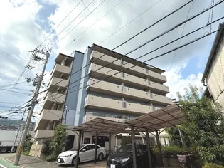 シェリール水無瀬の画像