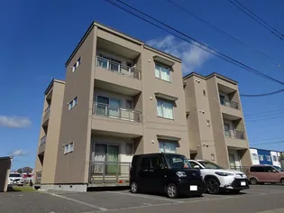 ENSOLEILLEの画像
