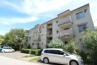 柏グリーンハイツF棟の画像