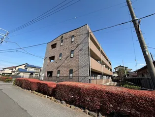 アンプルール フレアの画像