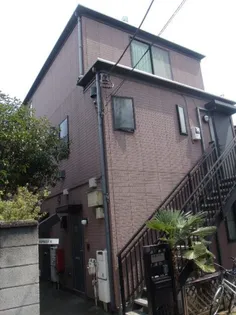 スプルースの画像