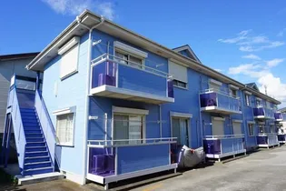 グレースエイトの画像