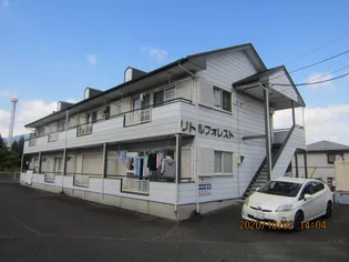 リトルフォレストの画像