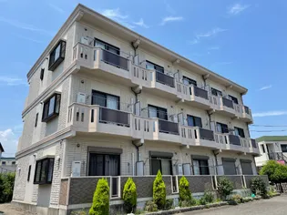 ボナール キクの画像