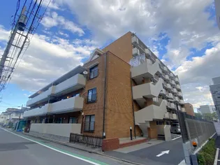 アイリーヴァの画像