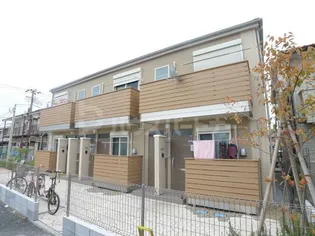 アムール ヴァン ダンジュの画像