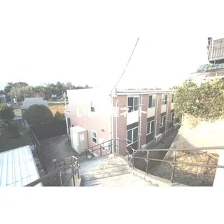 アイビーの画像