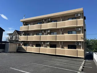 エイべクスアライの画像