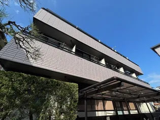 カーサ デ ピーノIの画像