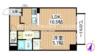 埼玉県さいたま市大宮区宮町2【マンション】の間取り