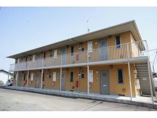 パステックの画像