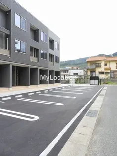 サン ウォームの画像