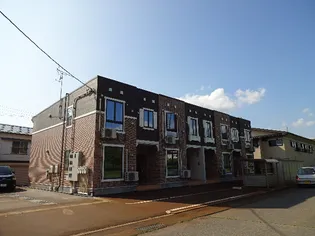 マルベリーの画像