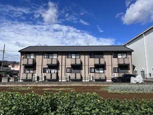 アメジストセージの画像