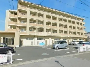 MTクリアネスの画像