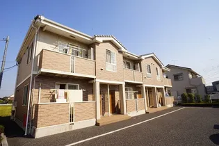 プリムローズK Bの画像