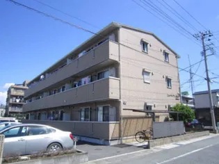 ニューリーブス桜竹の画像