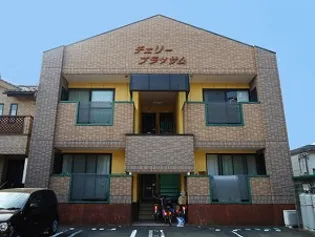 チェリーブラッサムの画像