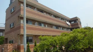 ドゥミエール ソフィアの画像