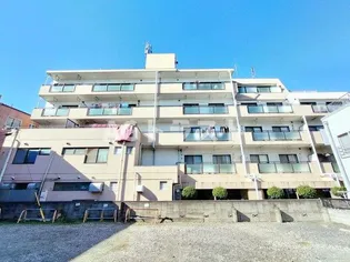 シダーレークコトブキの画像